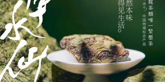 新品！最特立独行的乌龙茶