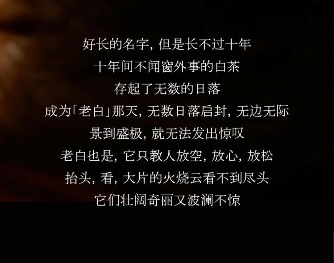 好长的名字，但是长不过十年。十年间不闻窗外事的白茶，存起了无数的日落，成为「老白」那天，无数日落启封，无边无际，景到盛极，就无法发出惊叹。
老白也是，它只教人放空，放心，放松抬头，看，大片的火烧云看不到尽头，它们壮阔奇丽又波澜不惊。