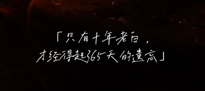 只有十年老白，才经得起365天的遗忘