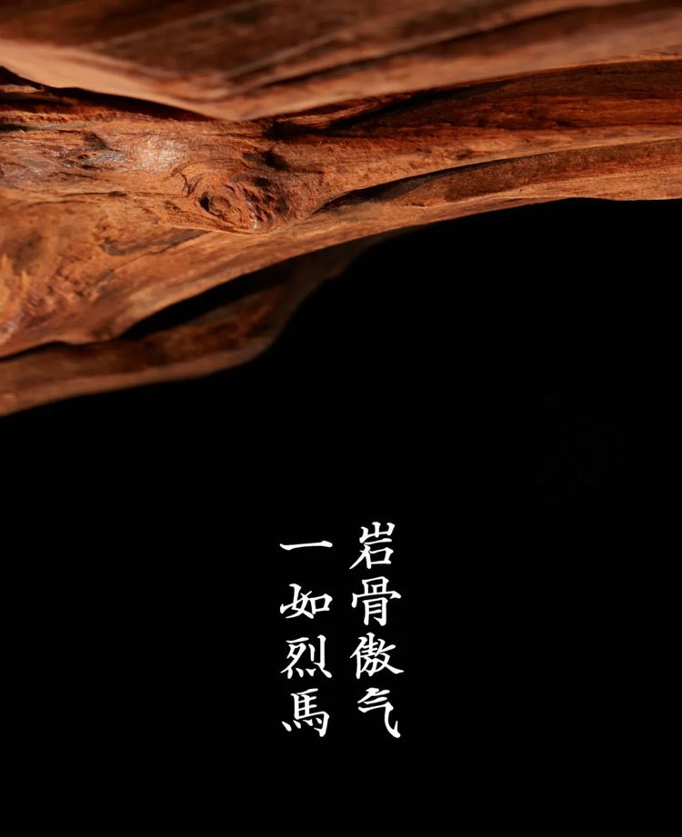 岩骨傲气一如烈马