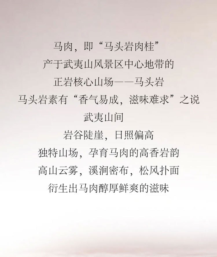 马肉，即“马头岩肉桂产于武夷山风景区中心地带的正岩核心山场。马头岩马头岩素有“香气易成，滋味难求”之说。武夷山间，岩谷陡崖，日照偏高独特山场，孕育马肉的高香岩韵高山云雾，溪涧密布，松风扑面衍生出马肉醇厚鲜爽的滋味。