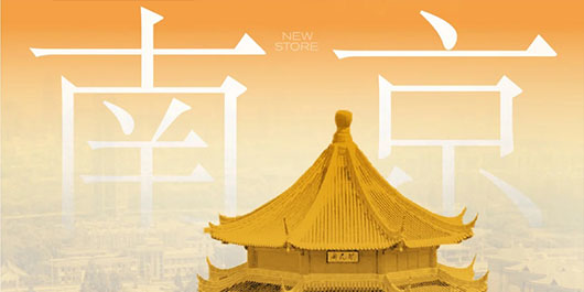 煮好茶，往南走