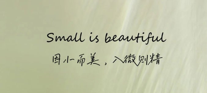 因小而美，入微则精