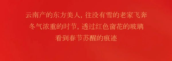 云南产的东方美人,往没有雪的老家飞奔冬气浓重的时节,透过红色窗花的玻璃看到春节苏醒的痕迹