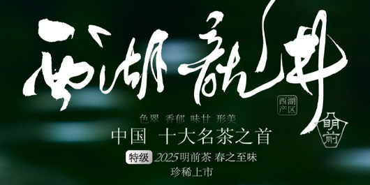 明前&middot;西湖龙井｜2025年的春信，已抵杯中