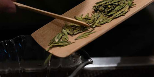 西湖龙井 | 以清茶对梅雨