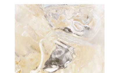 盛放无言，岩骨铮铮，不为境转。