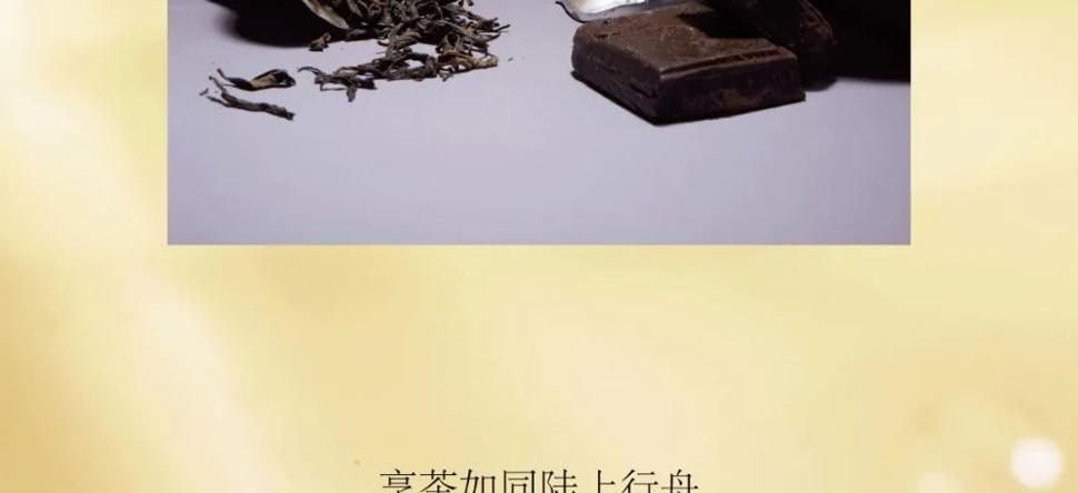 烹茶如同陆上行舟，香气带人不断穿梭于片段和恒常之中。如何坐定呢？如何坐定在一处，像一块石头，像《红楼梦》里的那块石头，经历与浏览同时发生？有点矛盾，但是不为时间轻易推走，在洋洋洒洒的故事里沉淀出一点点哲学味道的重量和多重性，有一点，让我们着迷。