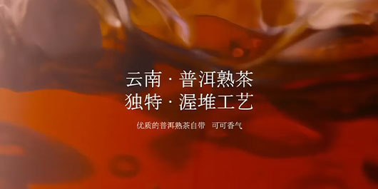 云南熟普 &times; 可可｜一场酝酿已久的&ldquo;香&rdquo;遇